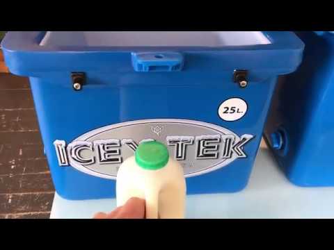 Will a 2 litre (4 pint) bottle of milk fit into a 25L Icey-Tek standing up?