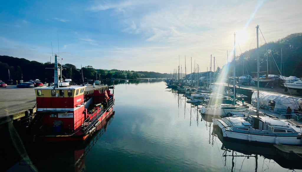 Crisp and fresh in Penryn, Cornwall this morning