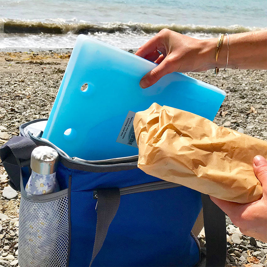 The 11 Best Ice Packs for Coolers of 2023
